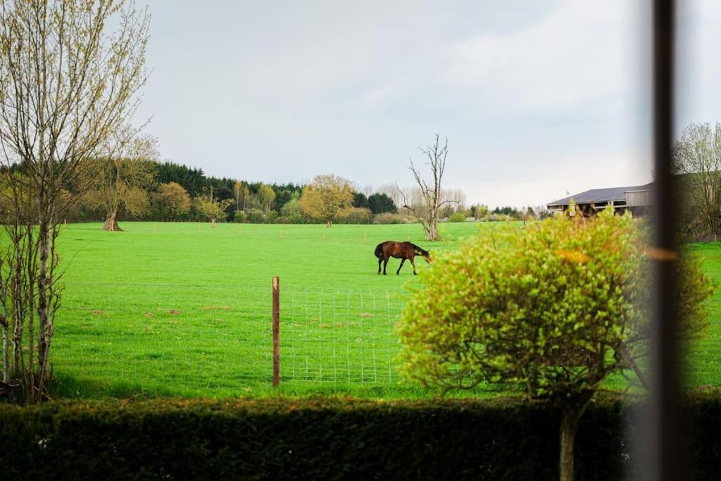 Gite La Dame Au Lit Gite A La Ferme Momignies Buitenkant foto