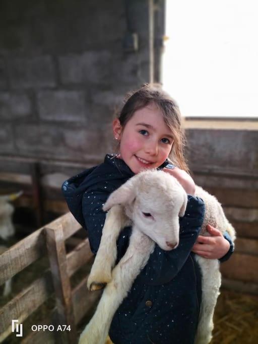 Gite La Dame Au Lit Gite A La Ferme Momignies Buitenkant foto