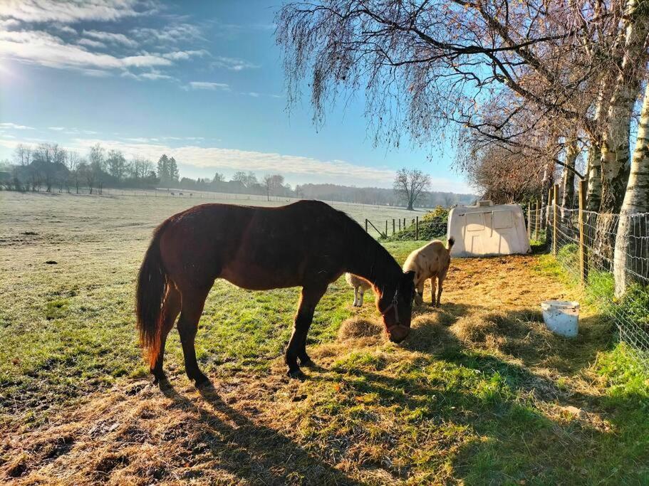 Gite La Dame Au Lit Gite A La Ferme Momignies Buitenkant foto