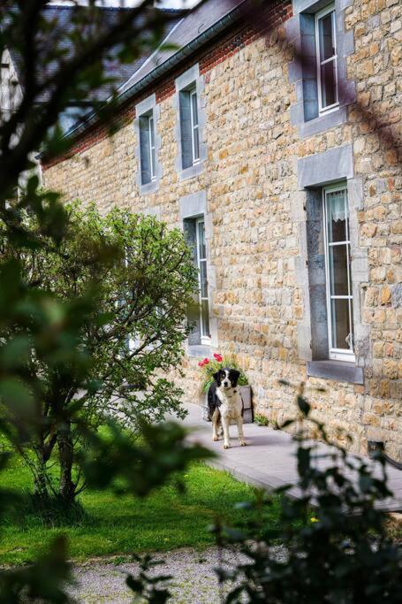 Gite La Dame Au Lit Gite A La Ferme Momignies Buitenkant foto